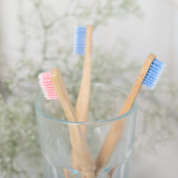 Higiene dental